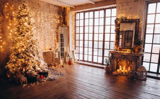 Old World Christmas Lights Interior